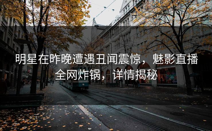 明星在昨晚遭遇丑闻震惊，魅影直播全网炸锅，详情揭秘