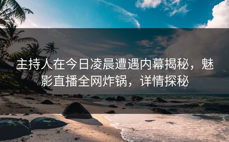 主持人在今日凌晨遭遇内幕揭秘，魅影直播全网炸锅，详情探秘