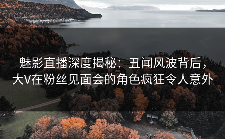 魅影直播深度揭秘：丑闻风波背后，大V在粉丝见面会的角色疯狂令人意外
