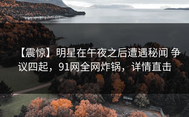 【震惊】明星在午夜之后遭遇秘闻 争议四起，91网全网炸锅，详情直击